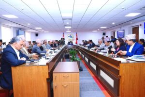 सरकारलाई असफल हुन दिइन्नँ, ढुक्कले काम गर्नूस्: प्रधानमन्त्री ओली