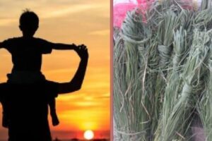 आज कुशे औंसी पर्व तथा बुबाको मुख हेर्ने दिन