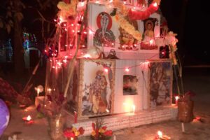 आज हरिबोधिनी एकादशी, यस्तो छ तुलसी पूजाको महत्त्व